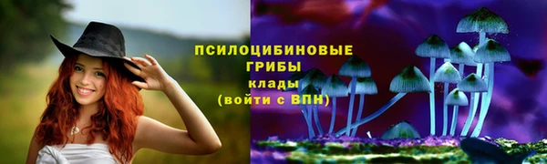 прущие крисы Медвежьегорск