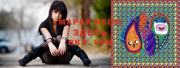 сатива Медногорск