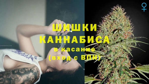 сатива Медногорск