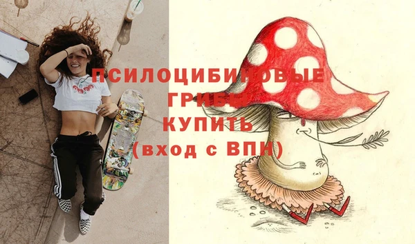 apvp Мегион