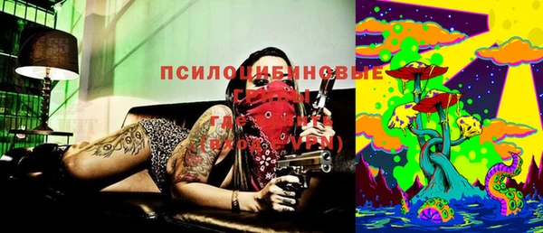 прущие крисы Медвежьегорск