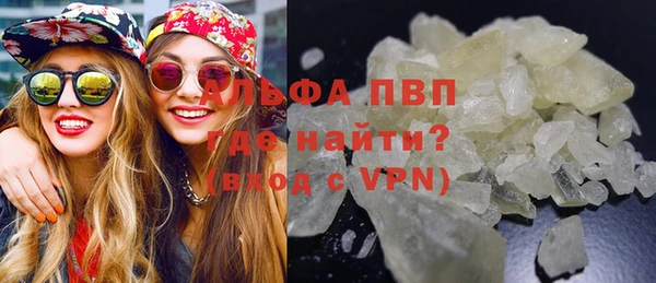 прущие крисы Медвежьегорск