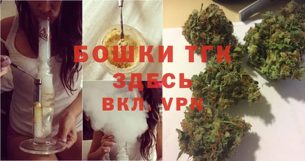 сатива Медногорск