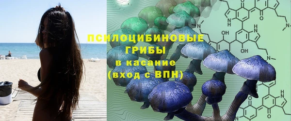 прущие крисы Медвежьегорск
