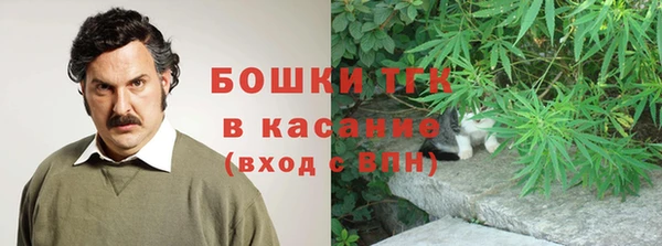 сатива Медногорск