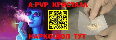 спиды Аргун