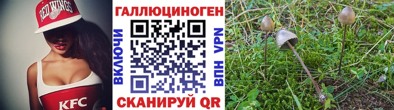 Купить Белгород Галлюциногенные грибы Cubensis