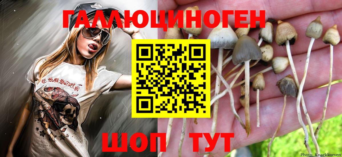 Галлюциногенные грибы Magic Shrooms  Вход с VPN  Белгород 