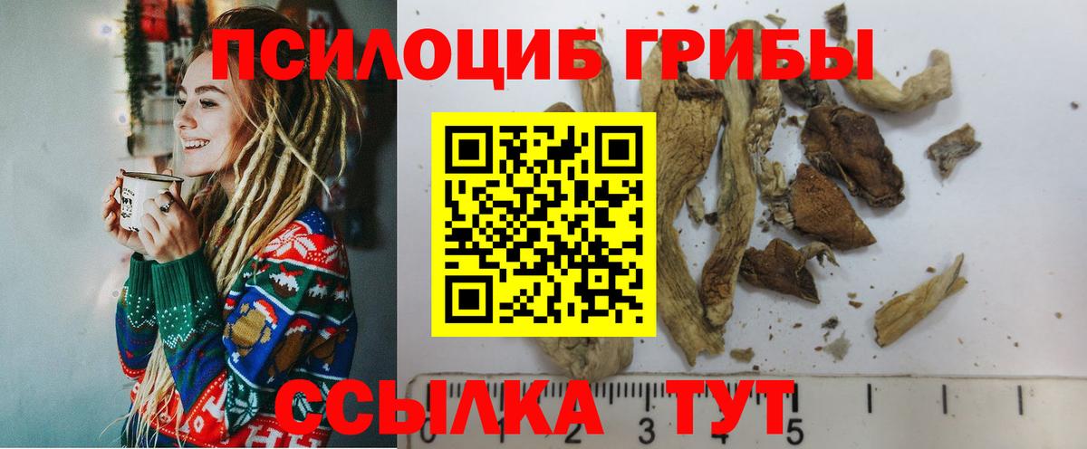 Галлюциногенные грибы мицелий Белгород