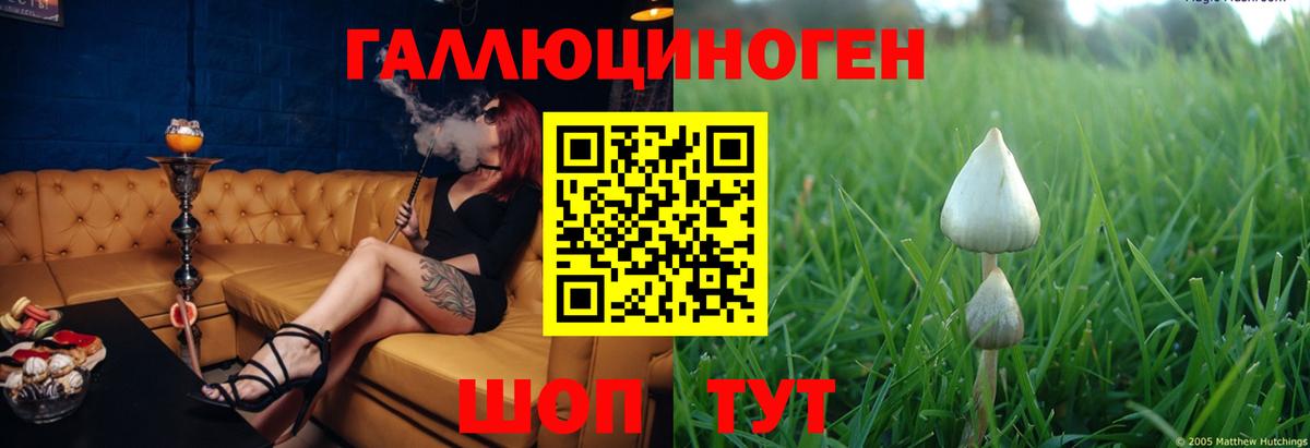 где продают   Белгород  Псилоцибиновые грибы прущие грибы 